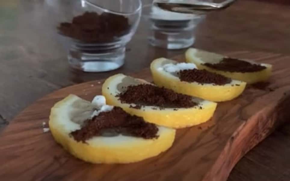 Чим закушувати коньяк ТОП 10 найкращих рецептів закусок, фото 083a9d67c49c68e798a4923d29abea3b Чим закушувати коньяк ТОП 10 найкращих рецептів закусок, фото