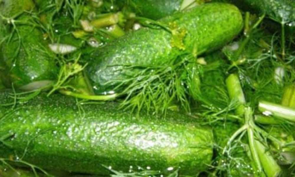Малосольні огірки за класичним рецептом у каструлі гарячим розсолом, з покроковими фото 0159dee9f7b7317919c4a0d6899c4d77 Малосольні огірки за класичним рецептом у каструлі гарячим розсолом, з покроковими фото