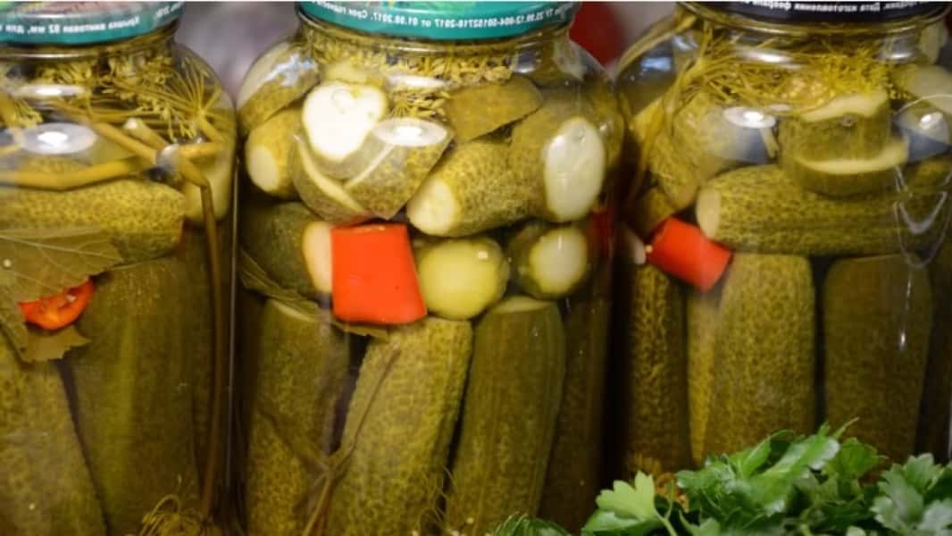 Мариновані огірки на зиму у банках 13 рецептів консервованих огірків, з покроковими фото 0e41a5e5f39d70b516f82918d6e5b5cc Мариновані огірки на зиму у банках 13 рецептів консервованих огірків, з покроковими фото
