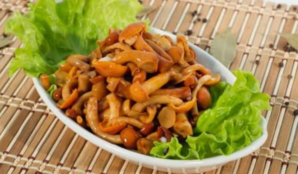 Опеньки мариновані на зиму 5 рецептів приготування, з покроковими фото 19f571e2e09444ce4cd9f6d9e8866a11 Опеньки мариновані на зиму 5 рецептів приготування, з покроковими фото