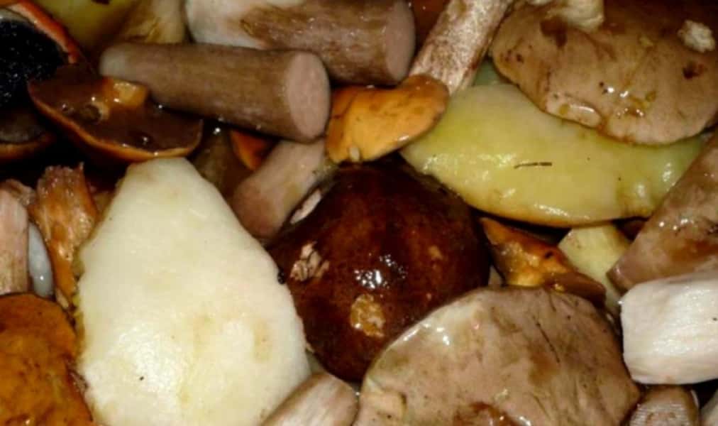 Мариновані гриби на зиму 12 простих рецептів у банках, з покроковими фото 276f2fa615d3da869dd6862e5cc6d973 Мариновані гриби на зиму 12 простих рецептів у банках, з покроковими фото