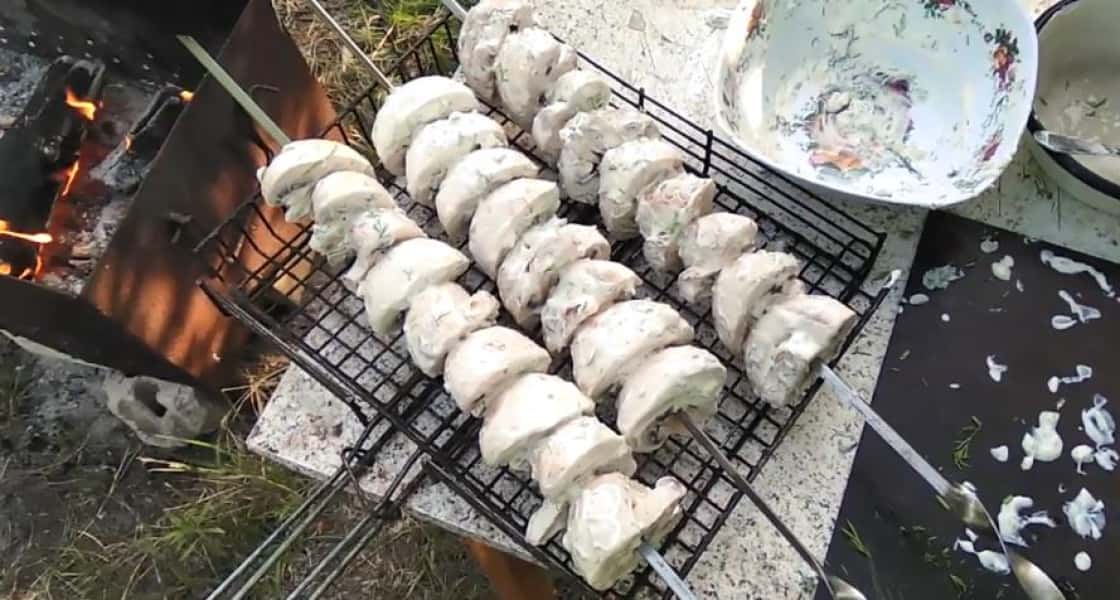 Печериці на мангалі 12 рецептів маринаду для шашлику з грибів, з покроковими фото 2a68ae8806889163fbaa1252df84eaaf Печериці на мангалі 12 рецептів маринаду для шашлику з грибів, з покроковими фото