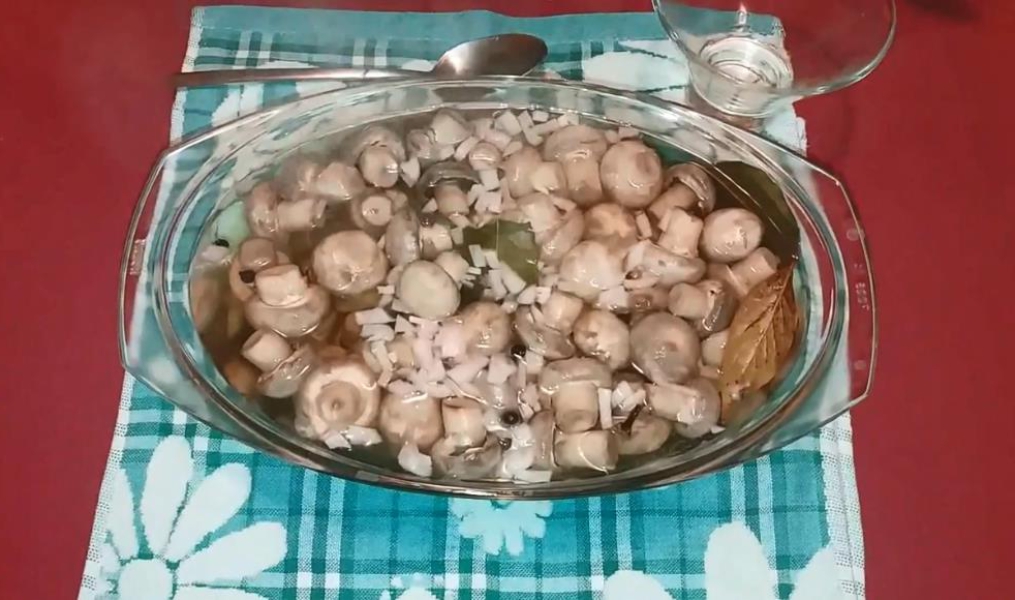 Мариновані печериці в домашніх умовах 15 швидких та смачних рецептів, з покроковими фото 85279e8566629d27b3269d9af591f2bd Мариновані печериці в домашніх умовах 15 швидких та смачних рецептів, з покроковими фото