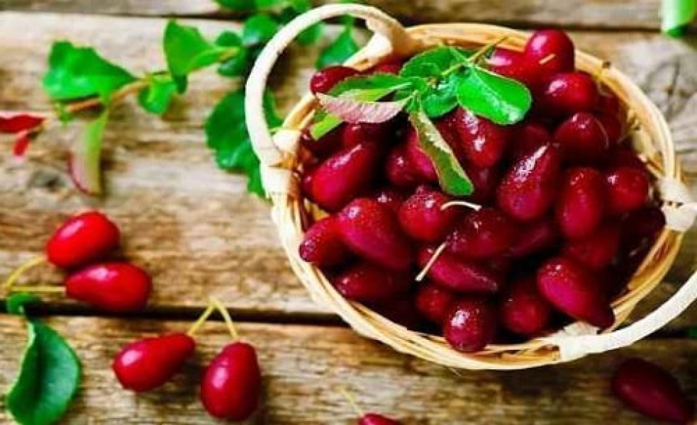 Варення з кизилу з кісточкою на зиму – 7 рецептів з фото 99981be57564665974b4ab90af129b9b Варення з кизилу з кісточкою на зиму – 7 рецептів з фото