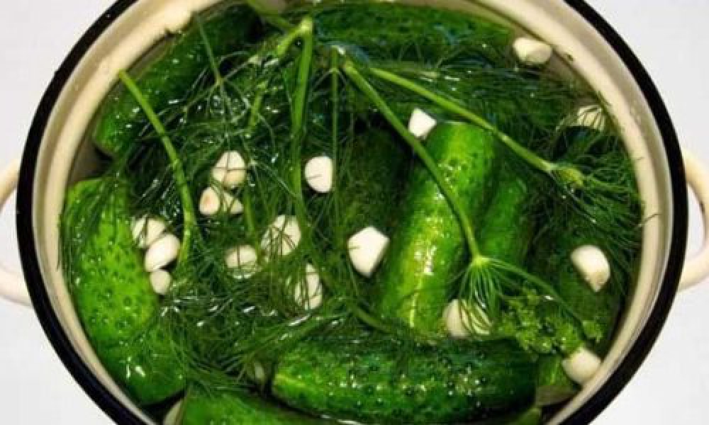 Малосольні огірки за класичним рецептом у каструлі гарячим розсолом, з покроковими фото a384faac6b39942da9e1a5d623b94558 Малосольні огірки за класичним рецептом у каструлі гарячим розсолом, з покроковими фото