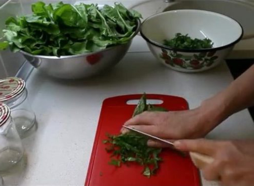 7 заготовок щавлю на зиму у банках, з покроковими фото ad05655a58aa6950a8d6e4793d9da2c6 7 заготовок щавлю на зиму у банках, з покроковими фото