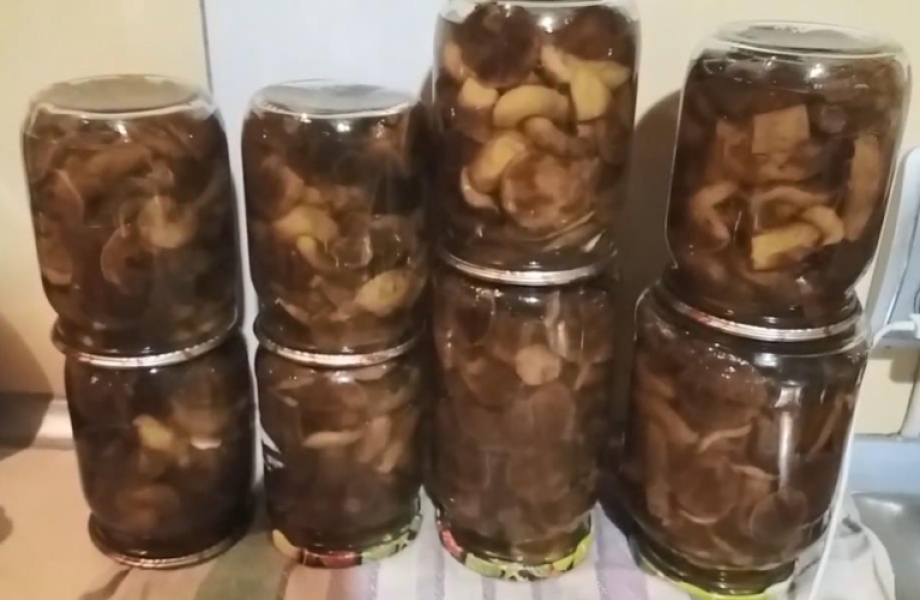 Мариновані гриби на зиму 12 простих рецептів у банках, з покроковими фото c84715b88ee2164ca234aaa39697d81b Мариновані гриби на зиму 12 простих рецептів у банках, з покроковими фото