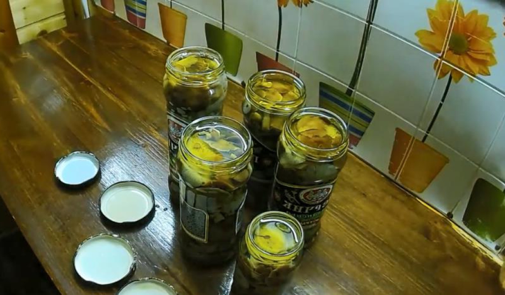 Мариновані опеньки на зиму – 11 найсмачніших рецептів приготування, з покроковими фото cc201a16ffed9ee0d2e85f982375364b Мариновані опеньки на зиму – 11 найсмачніших рецептів приготування, з покроковими фото