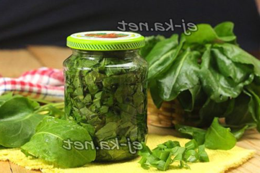 7 заготовок щавлю на зиму у банках, з покроковими фото d1b24a0b99bab7235fbfe9af48283302 7 заготовок щавлю на зиму у банках, з покроковими фото