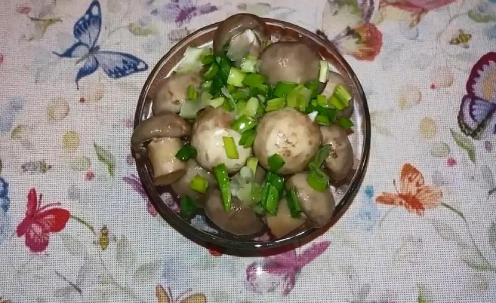 Мариновані печериці в домашніх умовах 15 швидких та смачних рецептів, з покроковими фото d374cde4e0d3b9512a824f0d0bdf9f32 Мариновані печериці в домашніх умовах 15 швидких та смачних рецептів, з покроковими фото
